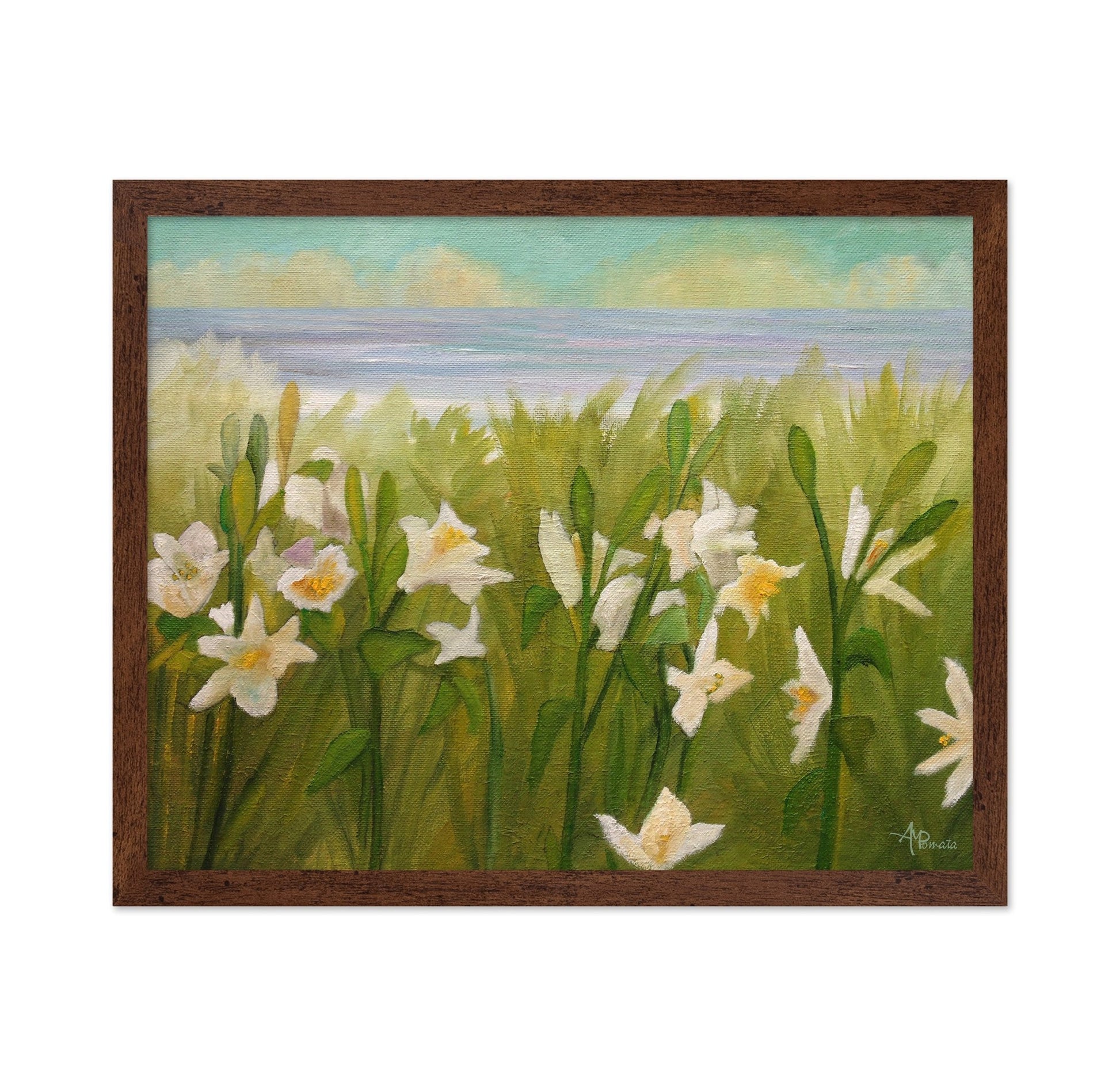 Coastal White Daffodils