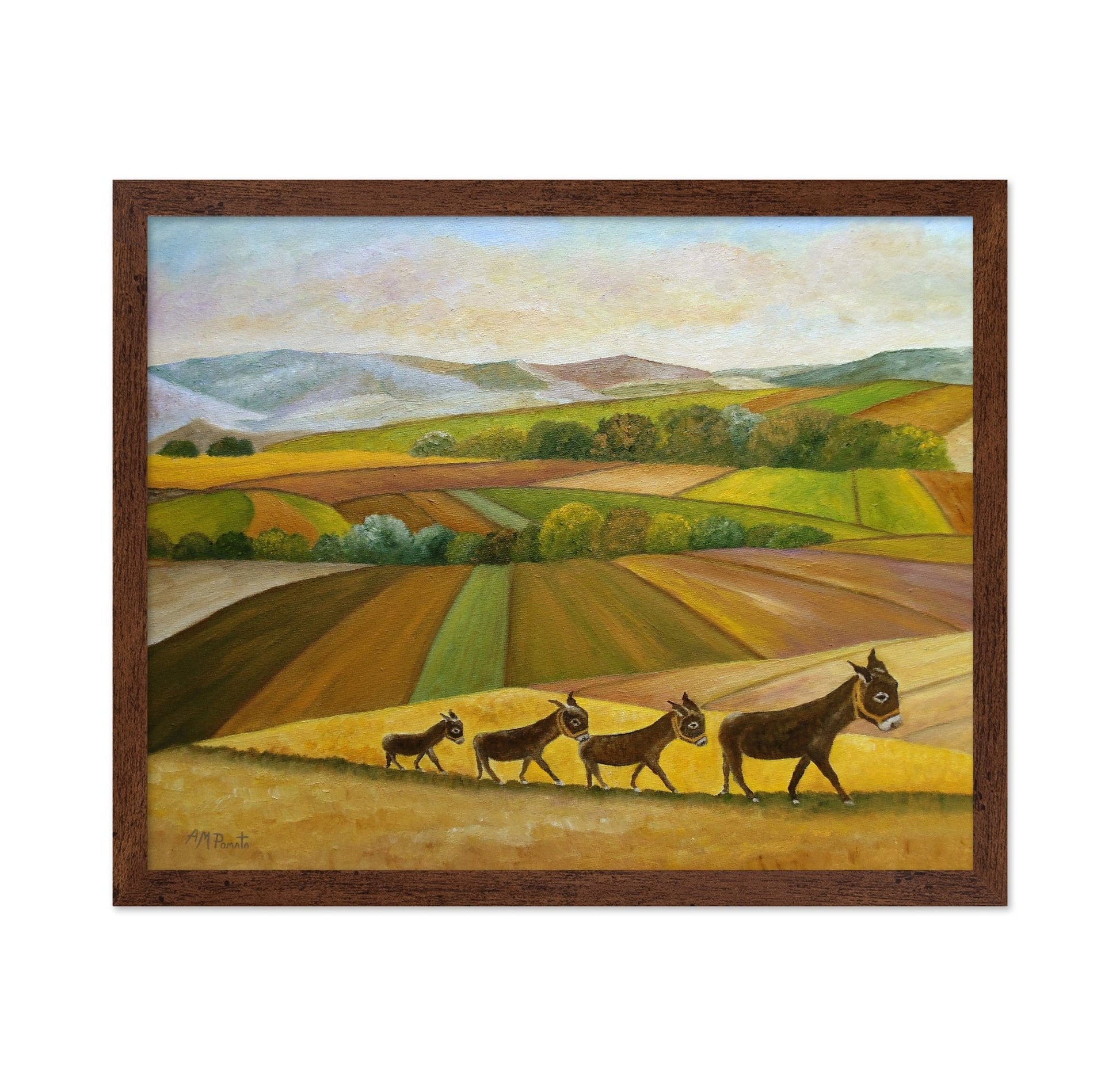 Donkeys Across Fields