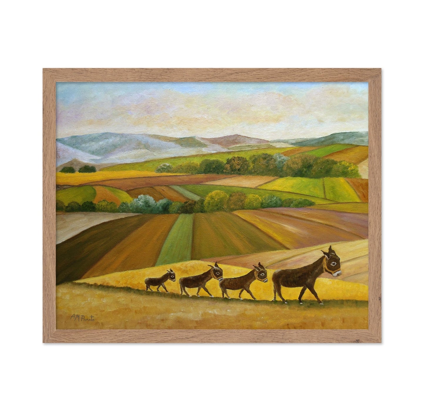 Donkeys Across Fields