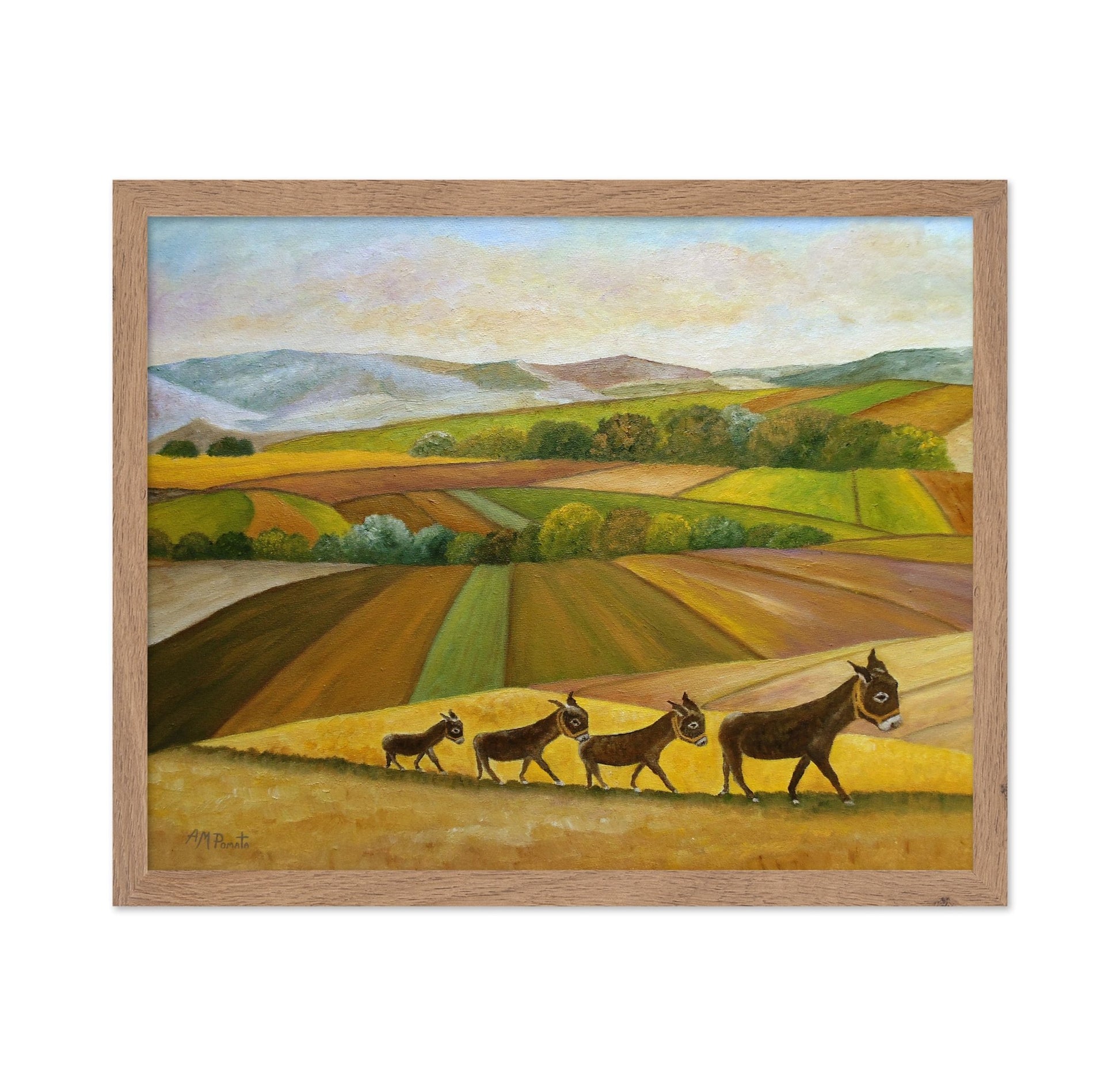Donkeys Across Fields