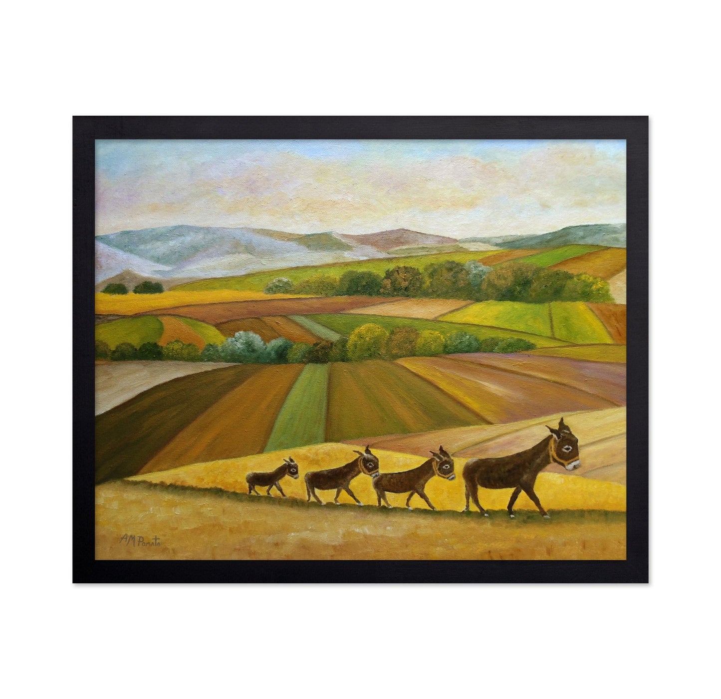 Donkeys Across Fields