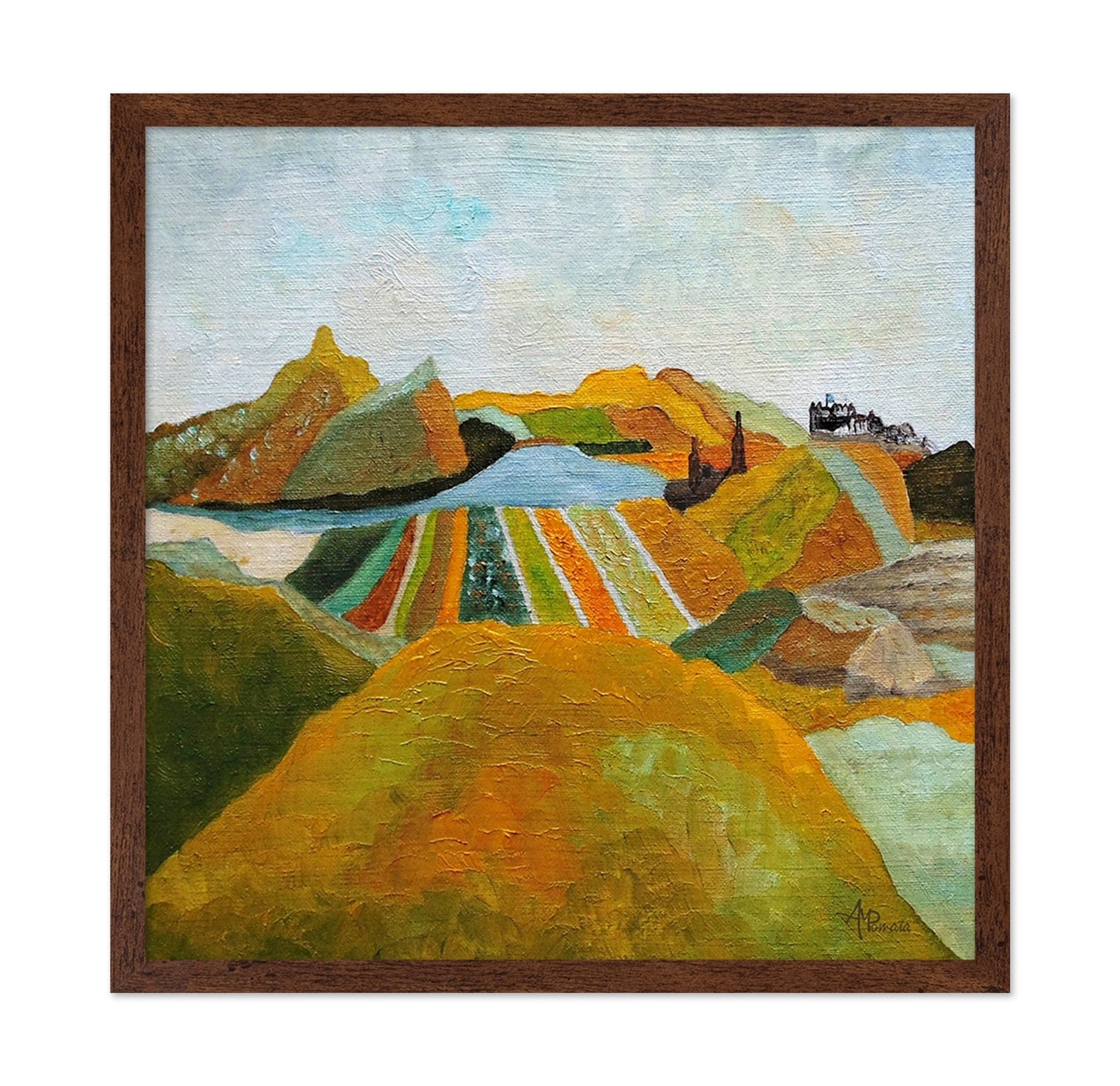 Colorful Hillside Fields