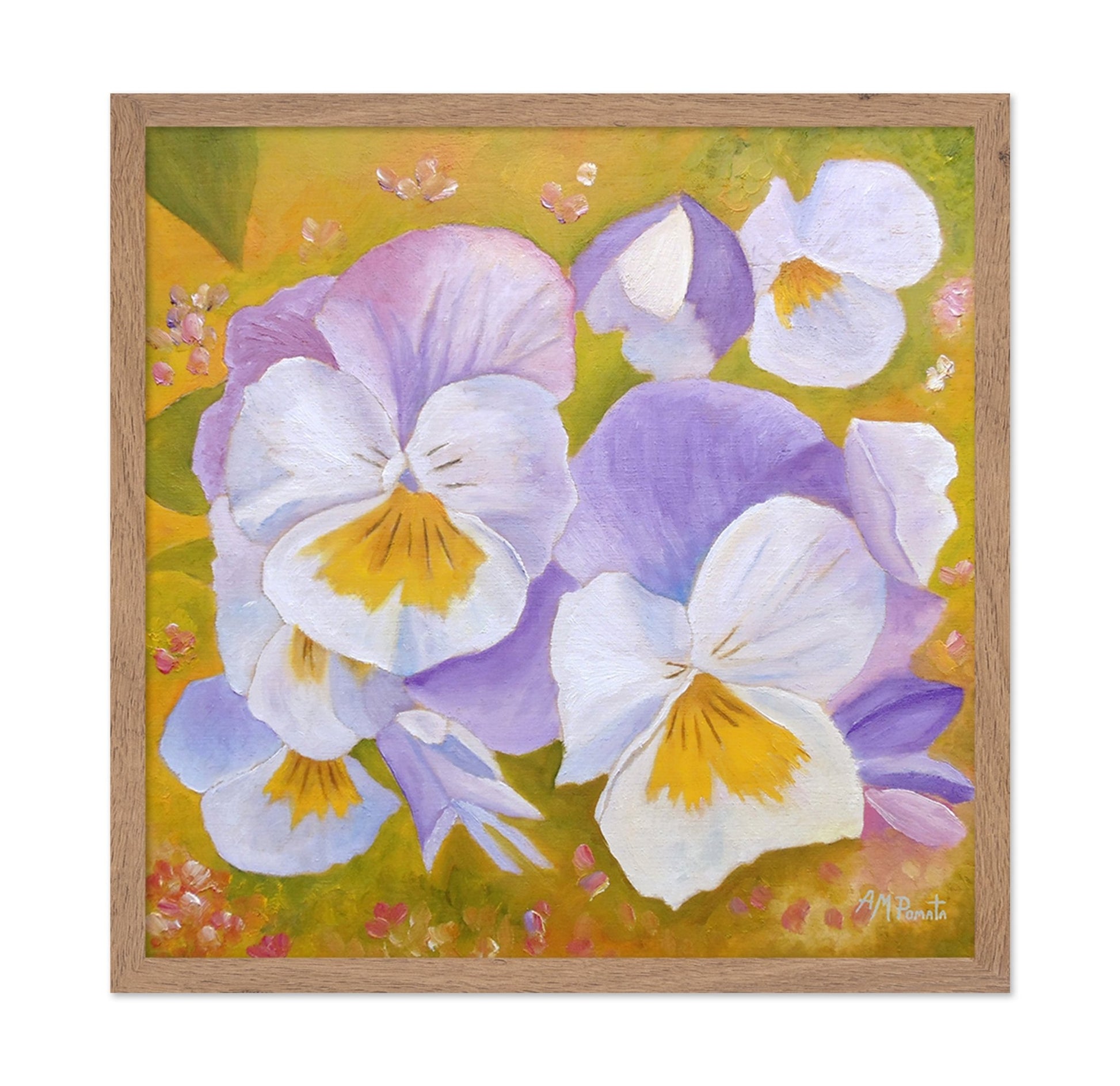 Violet Pansy Bloom
