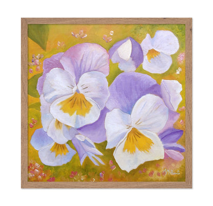 Violet Pansy Bloom
