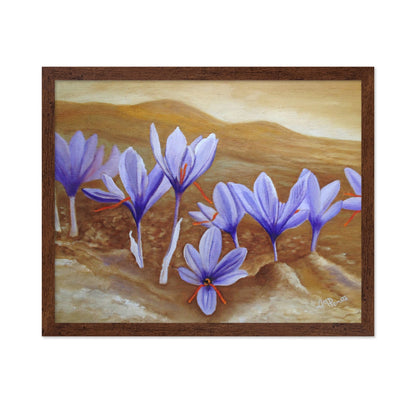 Purple Crocus Field