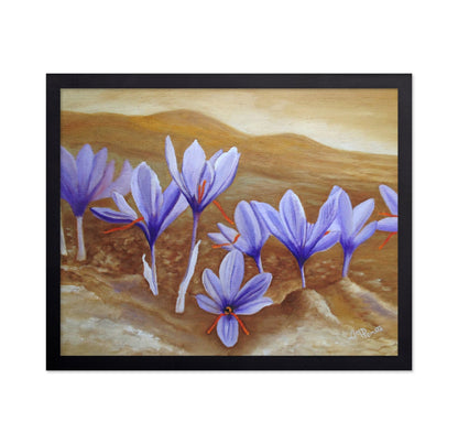 Purple Crocus Field