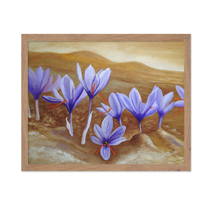 Purple Crocus Field