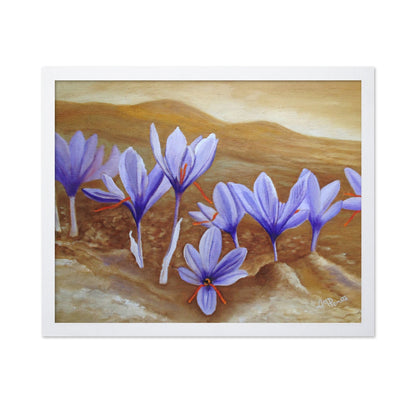 Purple Crocus Field
