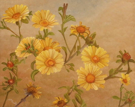 Yellow Daisy Bloom
