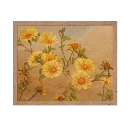 Yellow Daisy Bloom