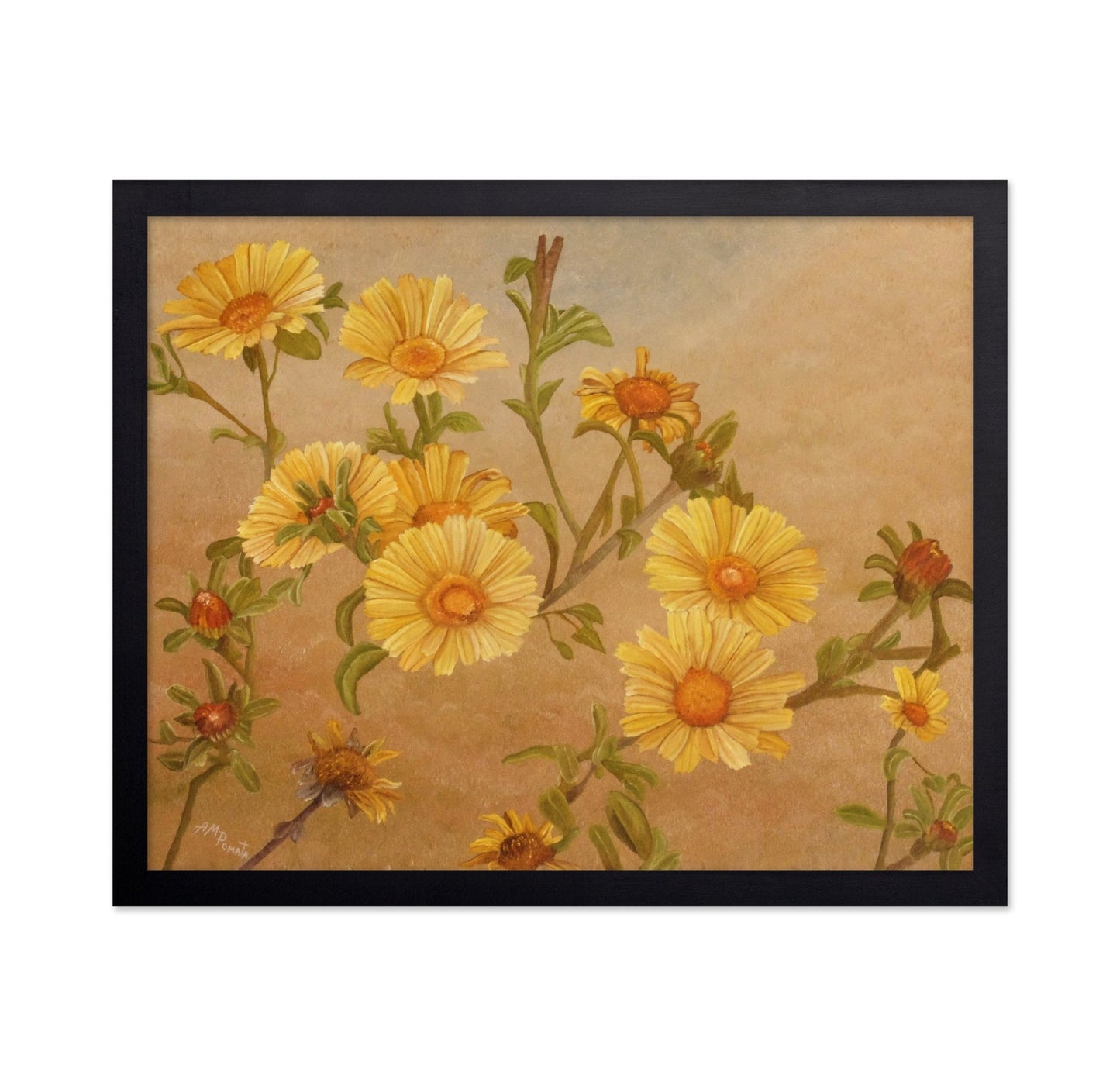 Yellow Daisy Bloom