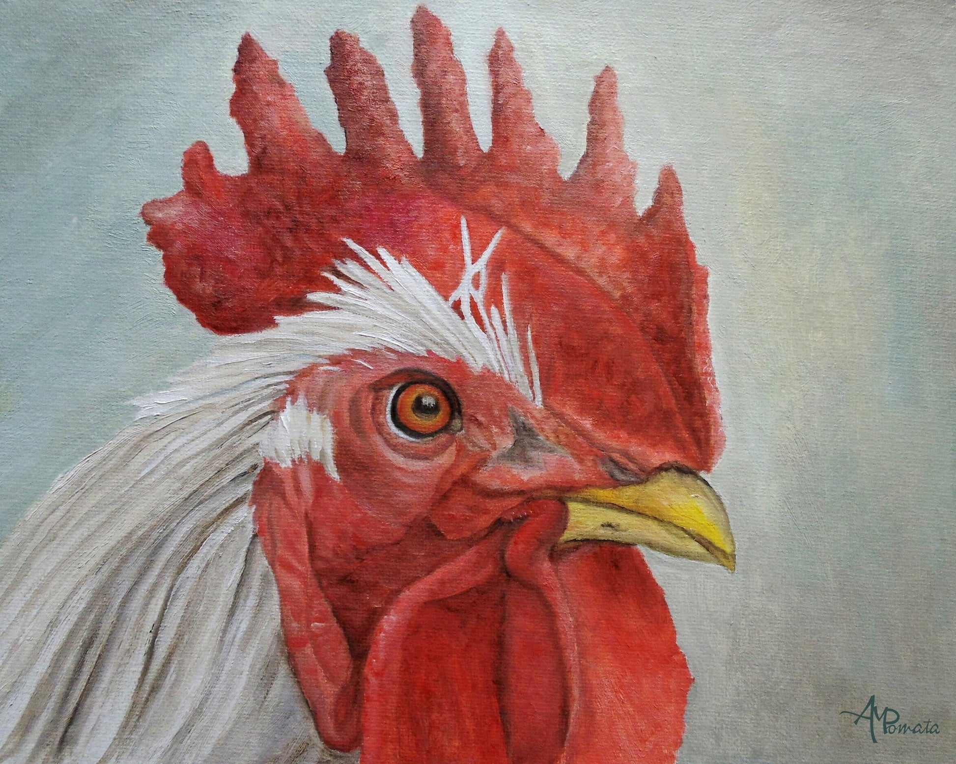 Rooster Portrait