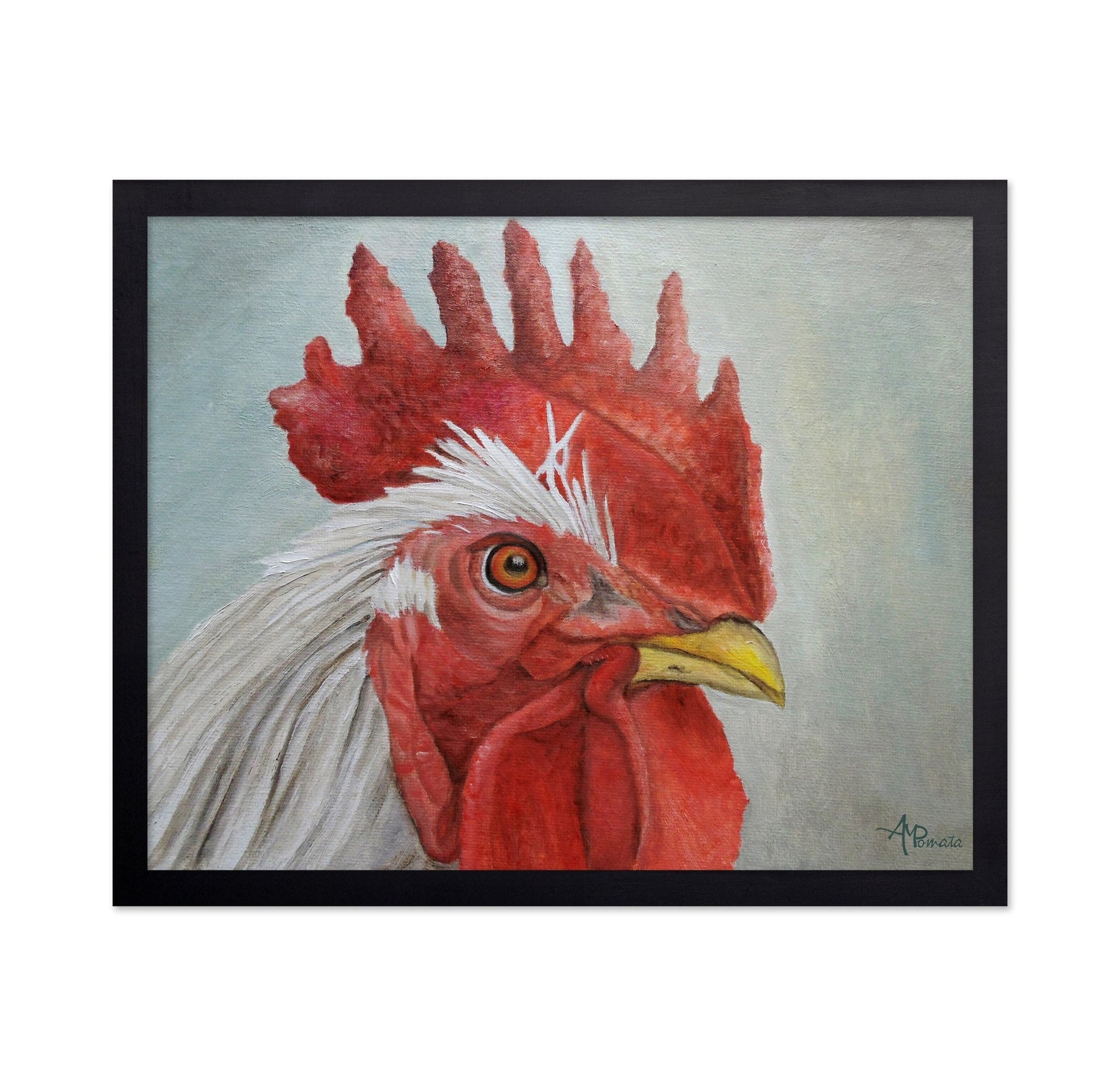 Rooster Portrait
