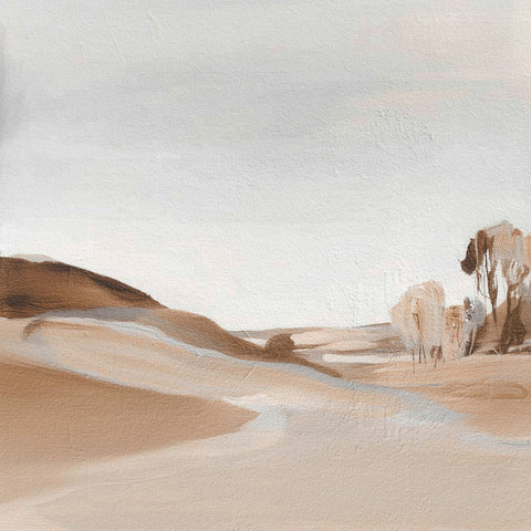 Quiet Desert Flow No2