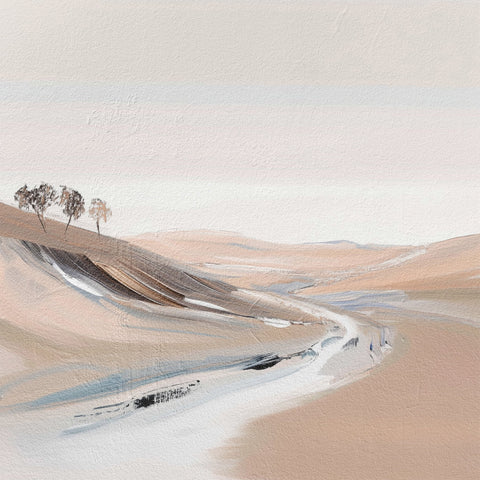 Desert River Path