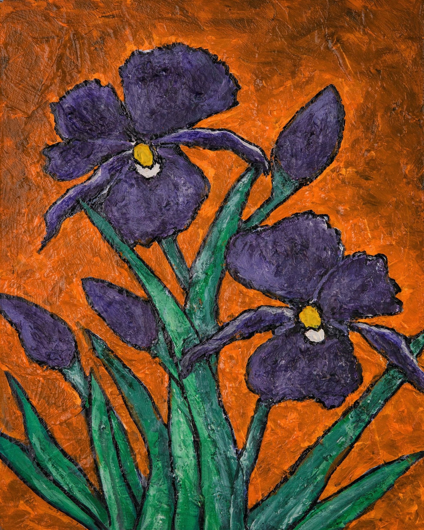 Purple Iris Bloom