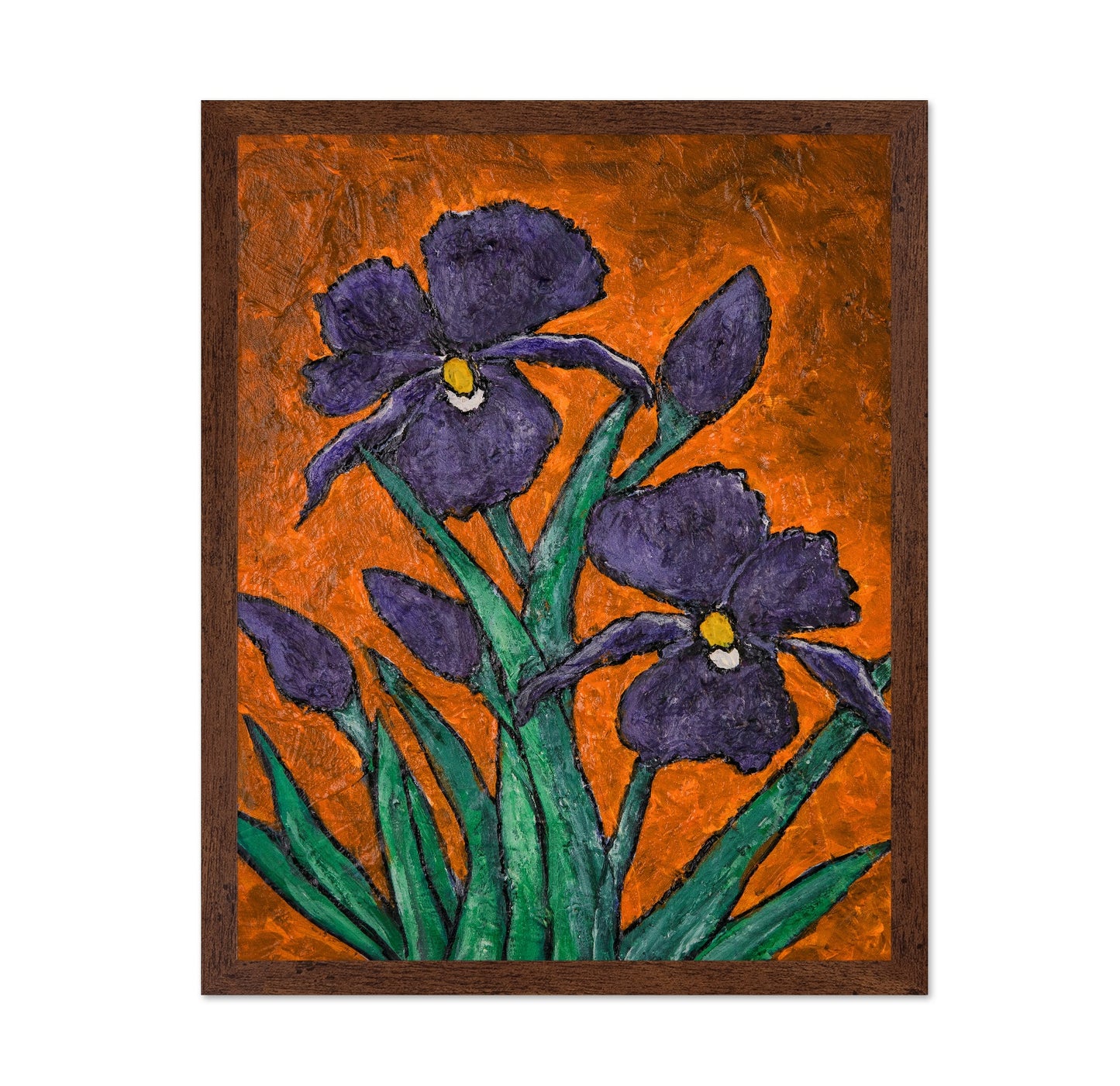 Purple Iris Bloom
