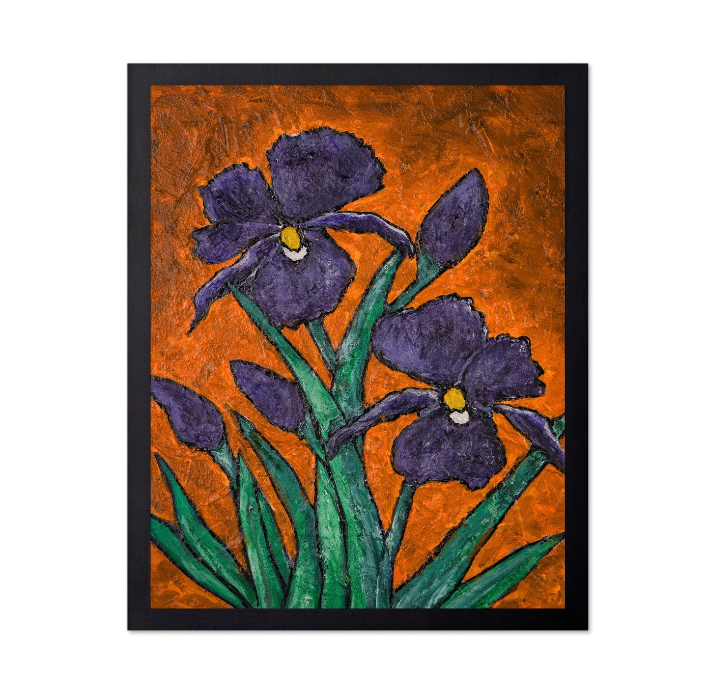 Purple Iris Bloom