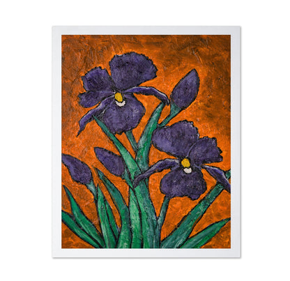 Purple Iris Bloom