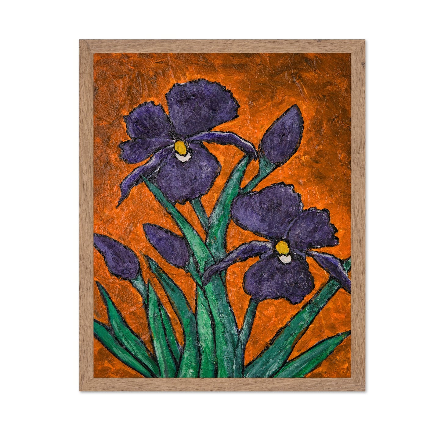 Purple Iris Bloom