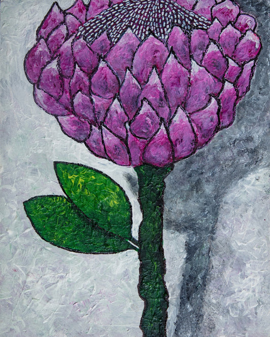Pink Protea Bloom