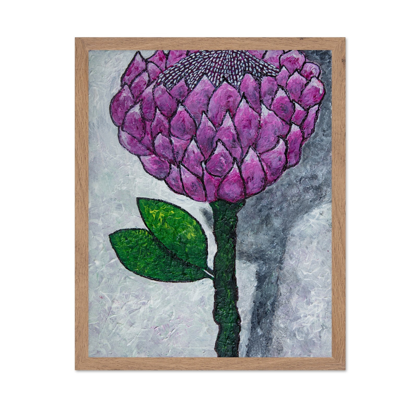 Pink Protea Bloom