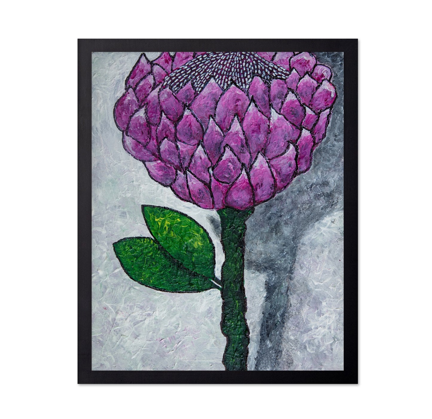 Pink Protea Bloom
