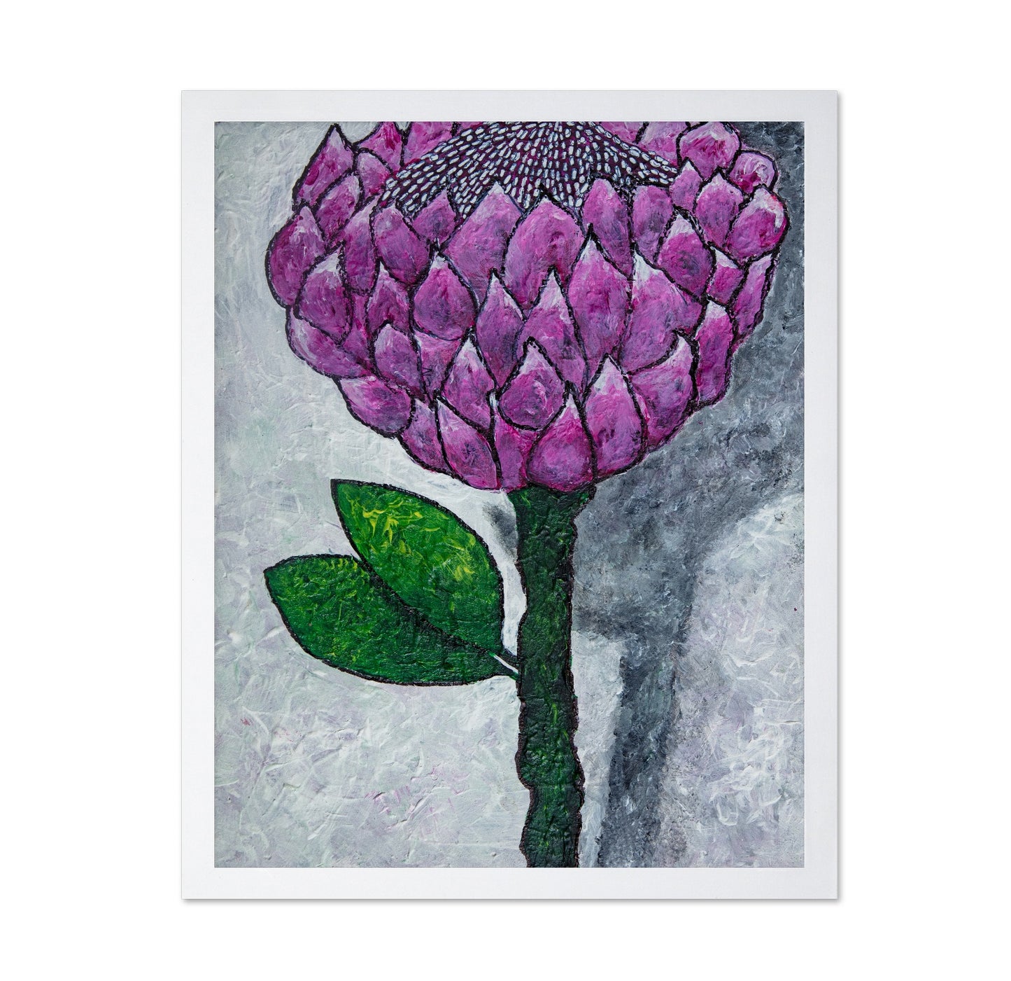 Pink Protea Bloom