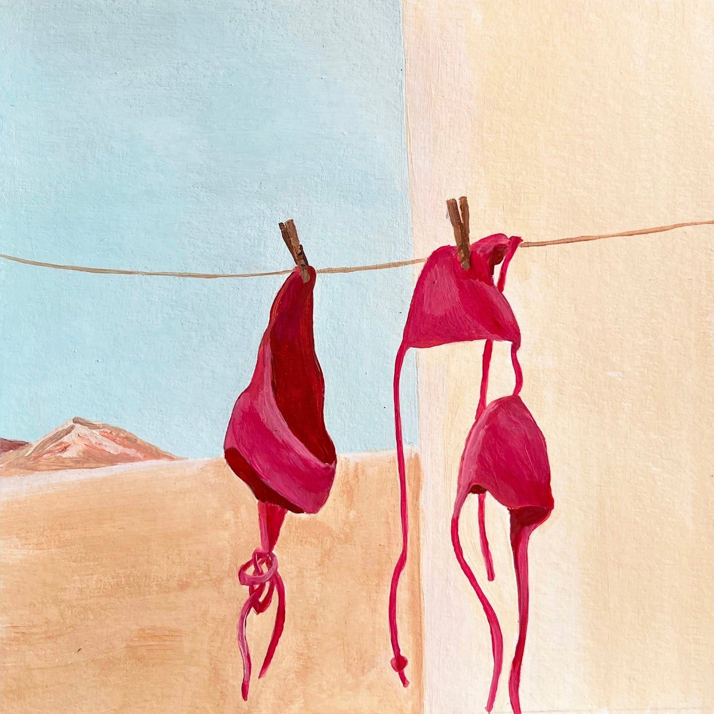 Red Bikini Hanging