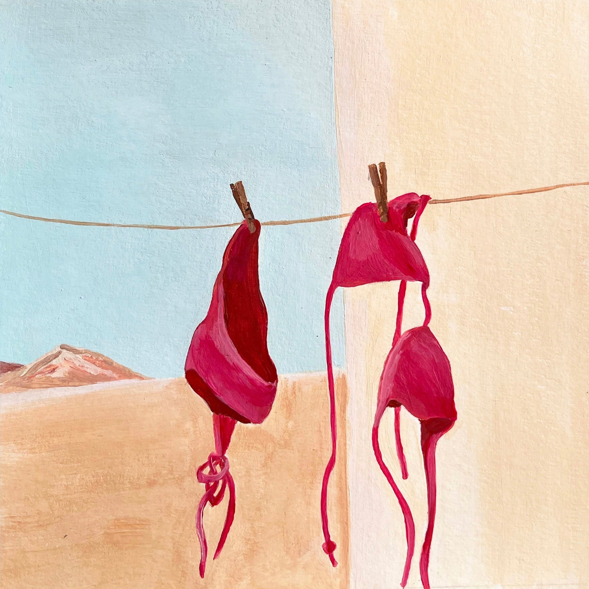 Red Bikini Hanging