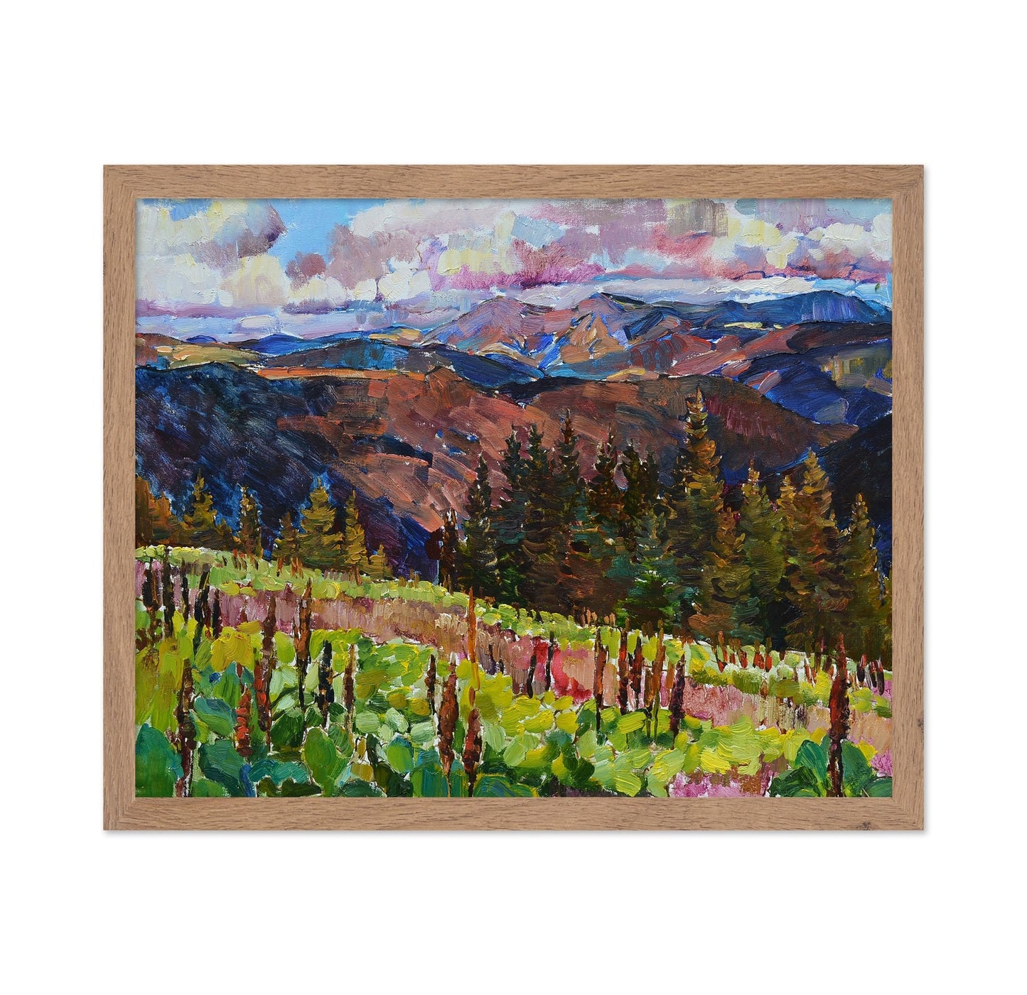 Mountain Forest View