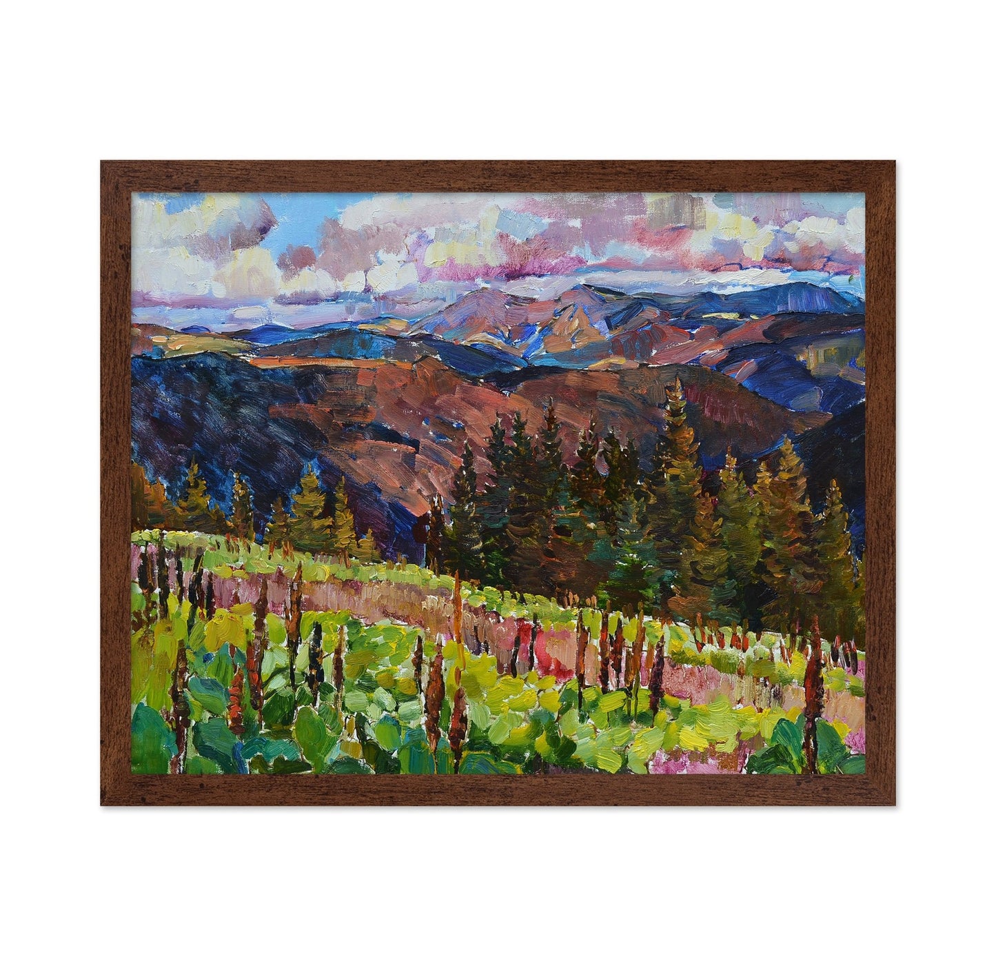 Mountain Forest View