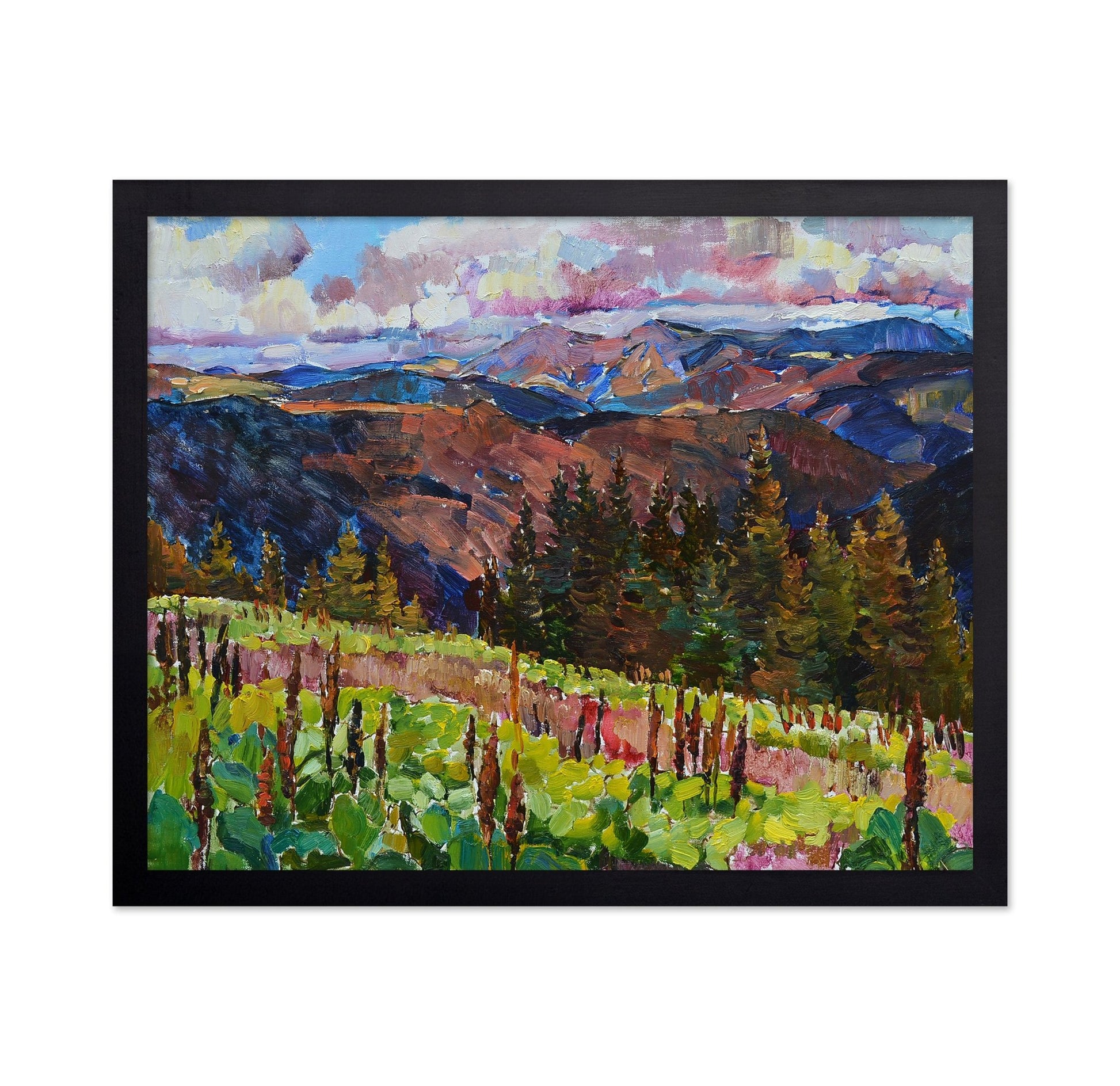Mountain Forest View