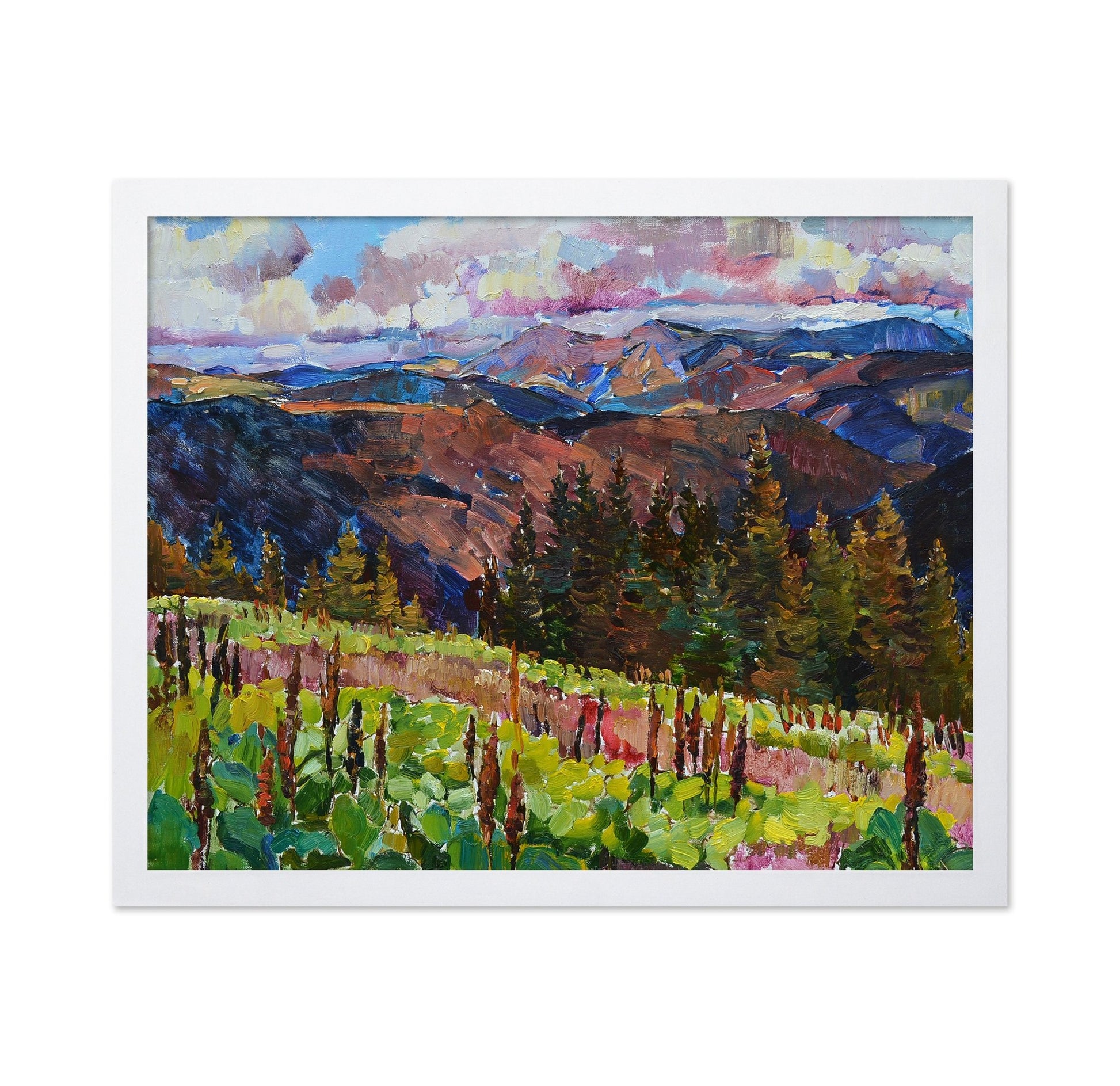 Mountain Forest View