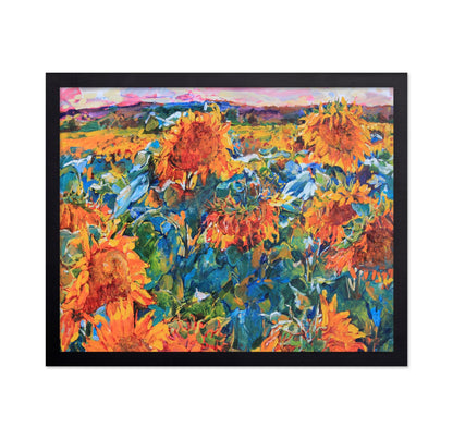 Sunflower Field View