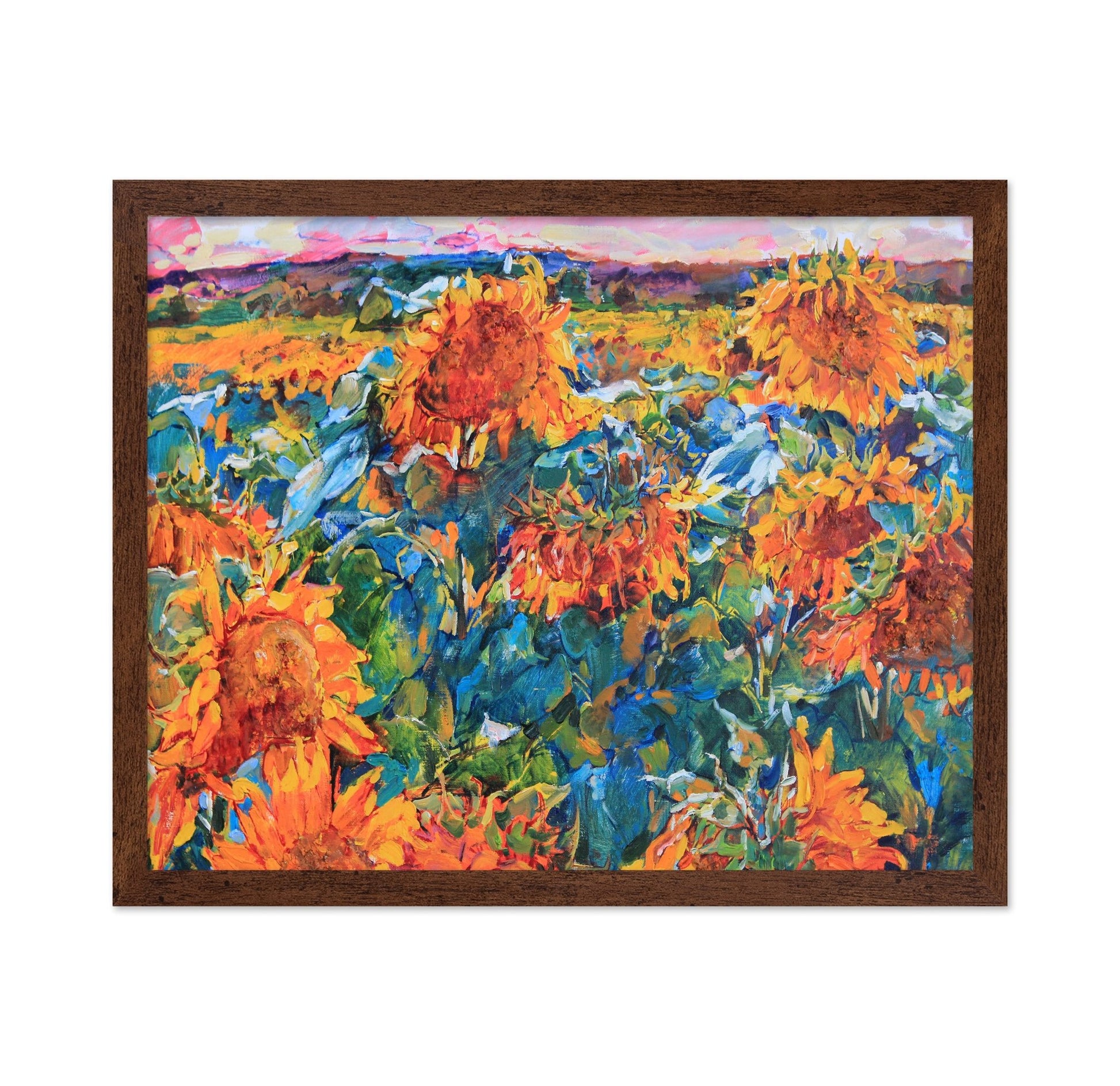 Sunflower Field View