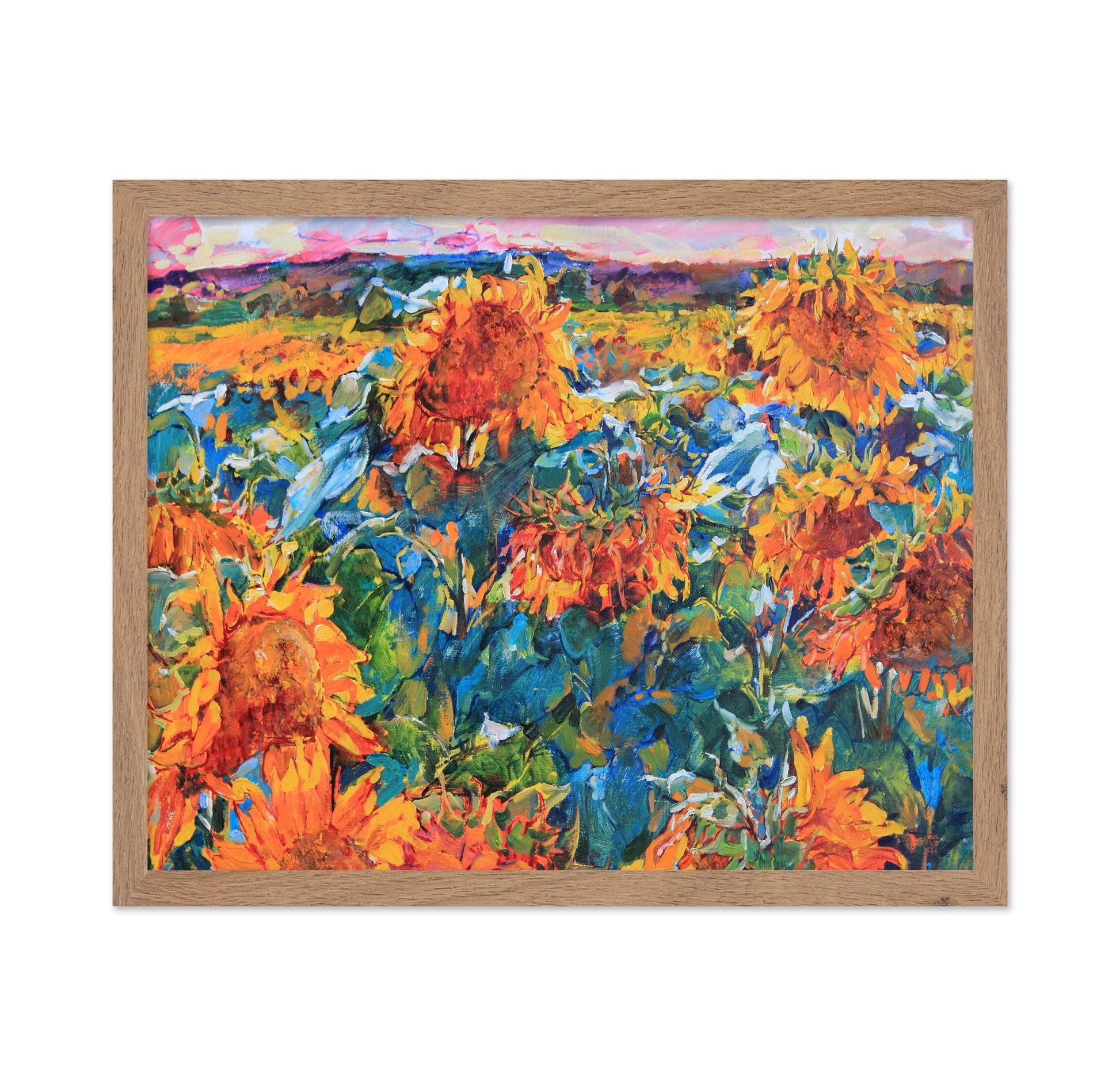 Sunflower Field View