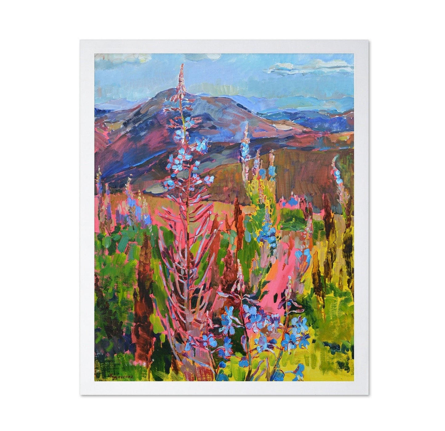 Mountain Wildflowers No1