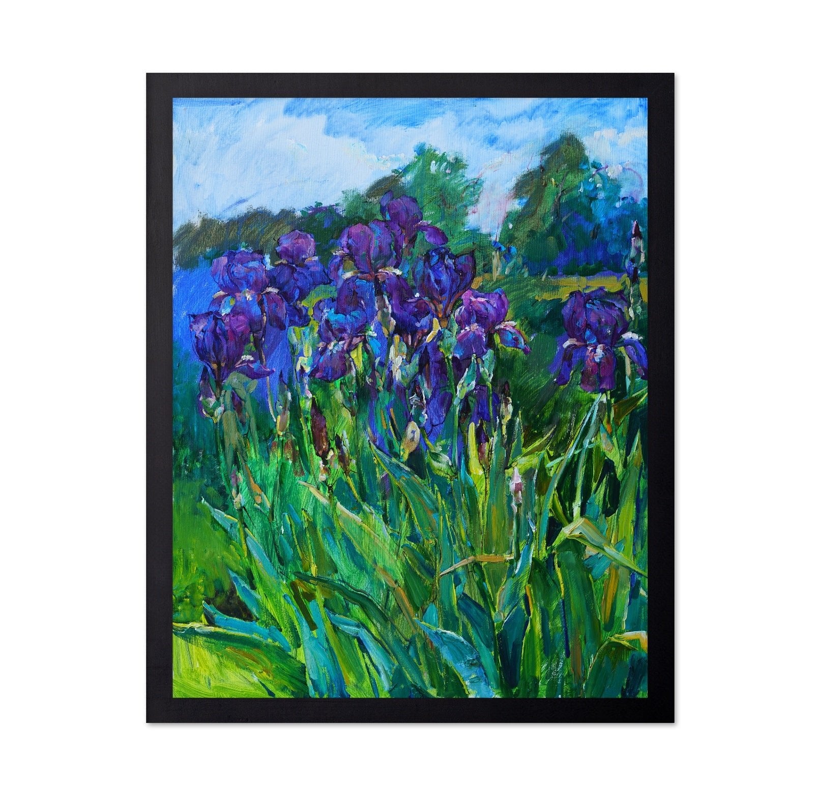 Purple Iris Garden