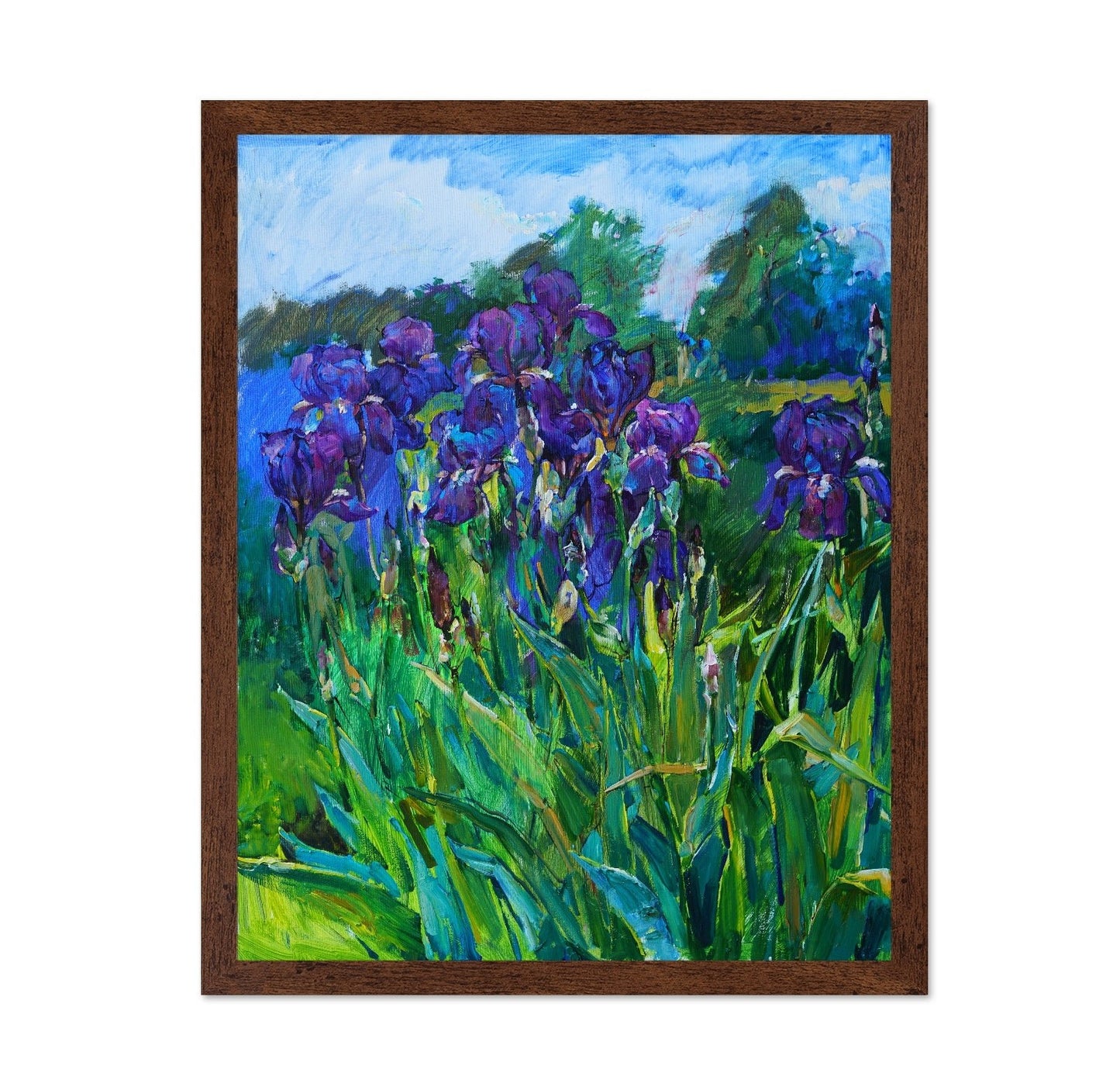 Purple Iris Garden