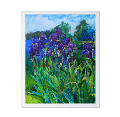 Purple Iris Garden