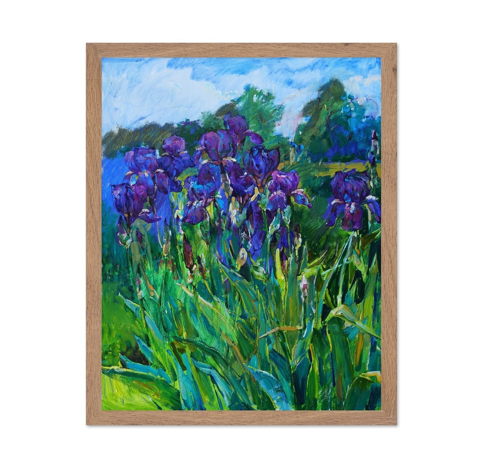 Purple Iris Garden