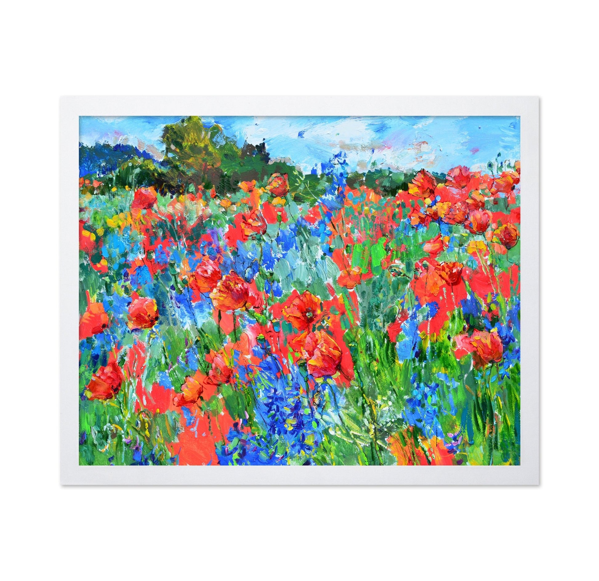 Wildflower Meadow Burst