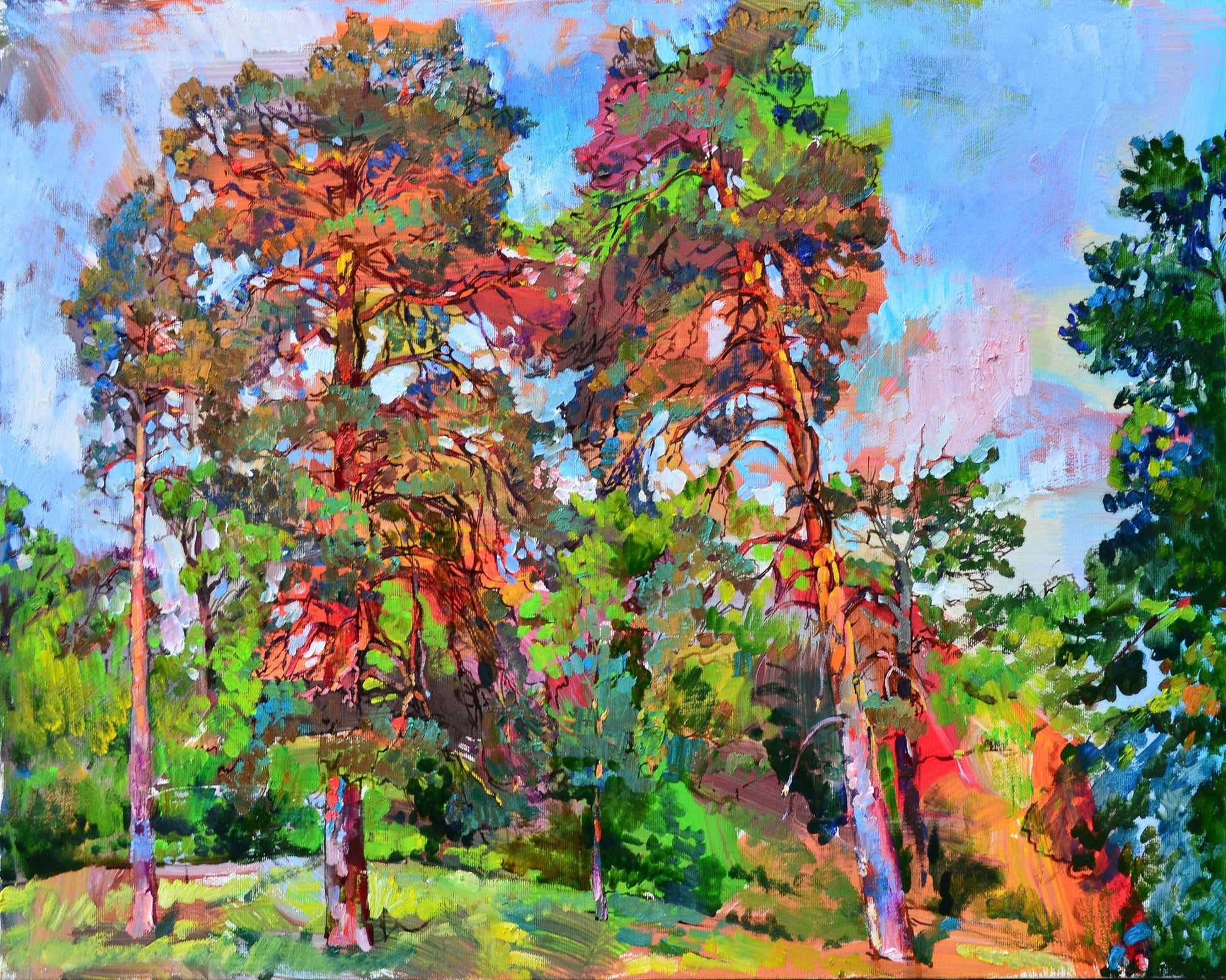 Sunlit Forest Pines