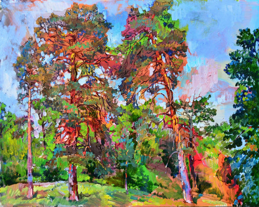Sunlit Forest Pines