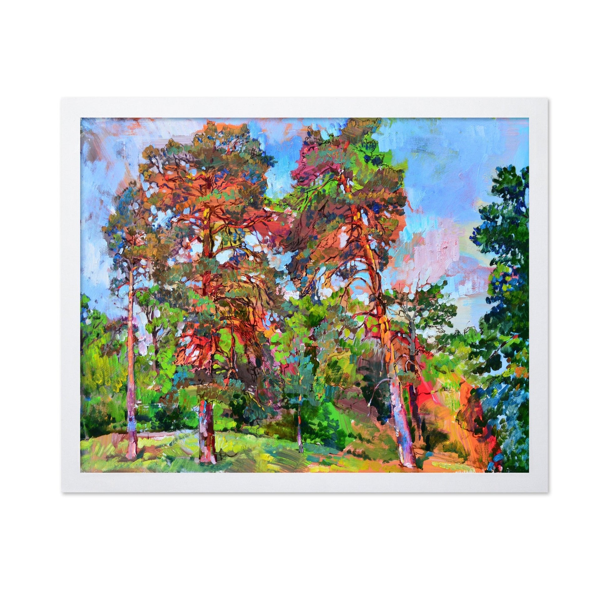 Sunlit Forest Pines