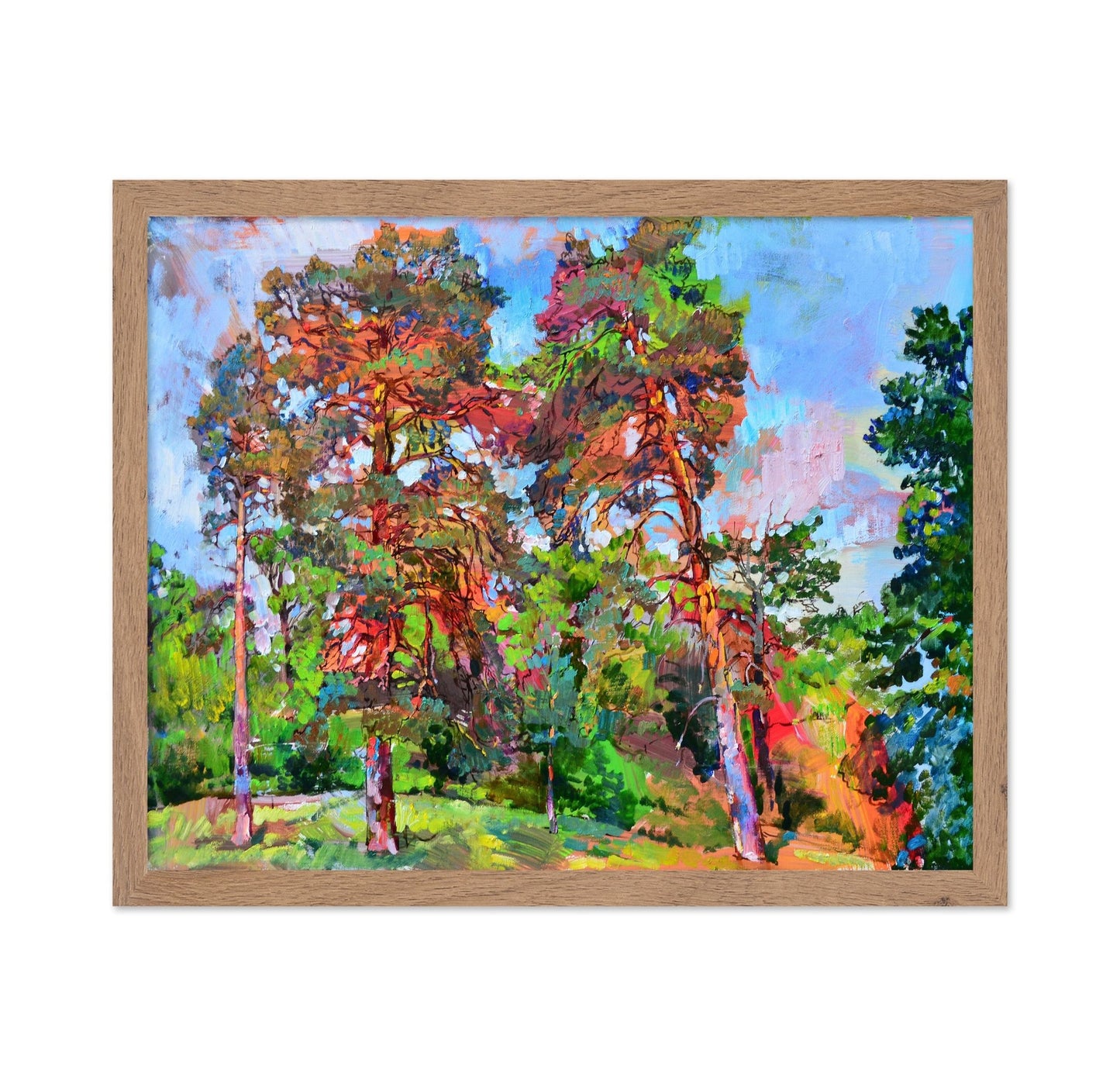 Sunlit Forest Pines