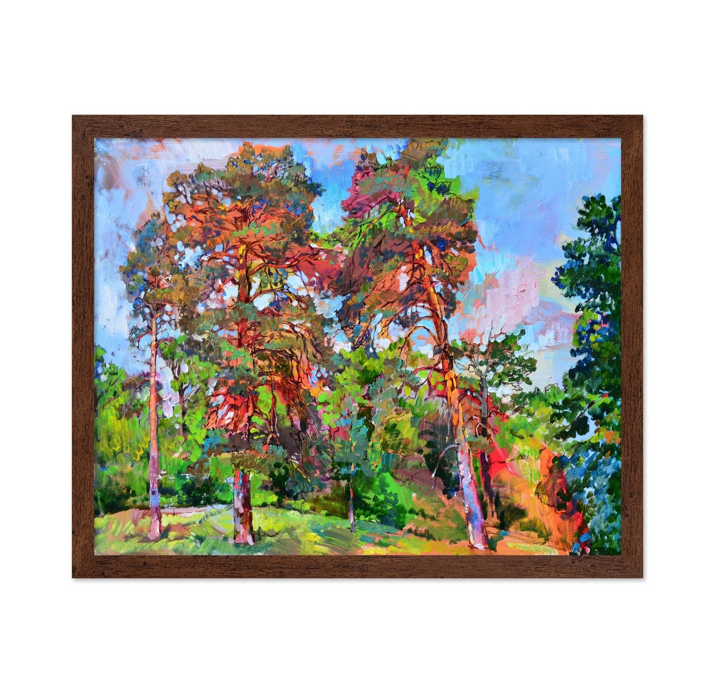 Sunlit Forest Pines