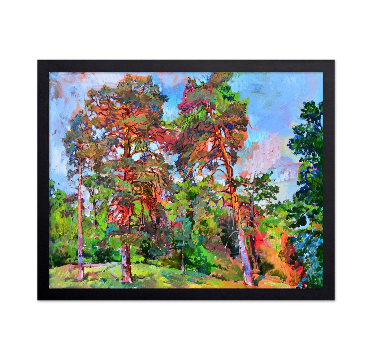Sunlit Forest Pines