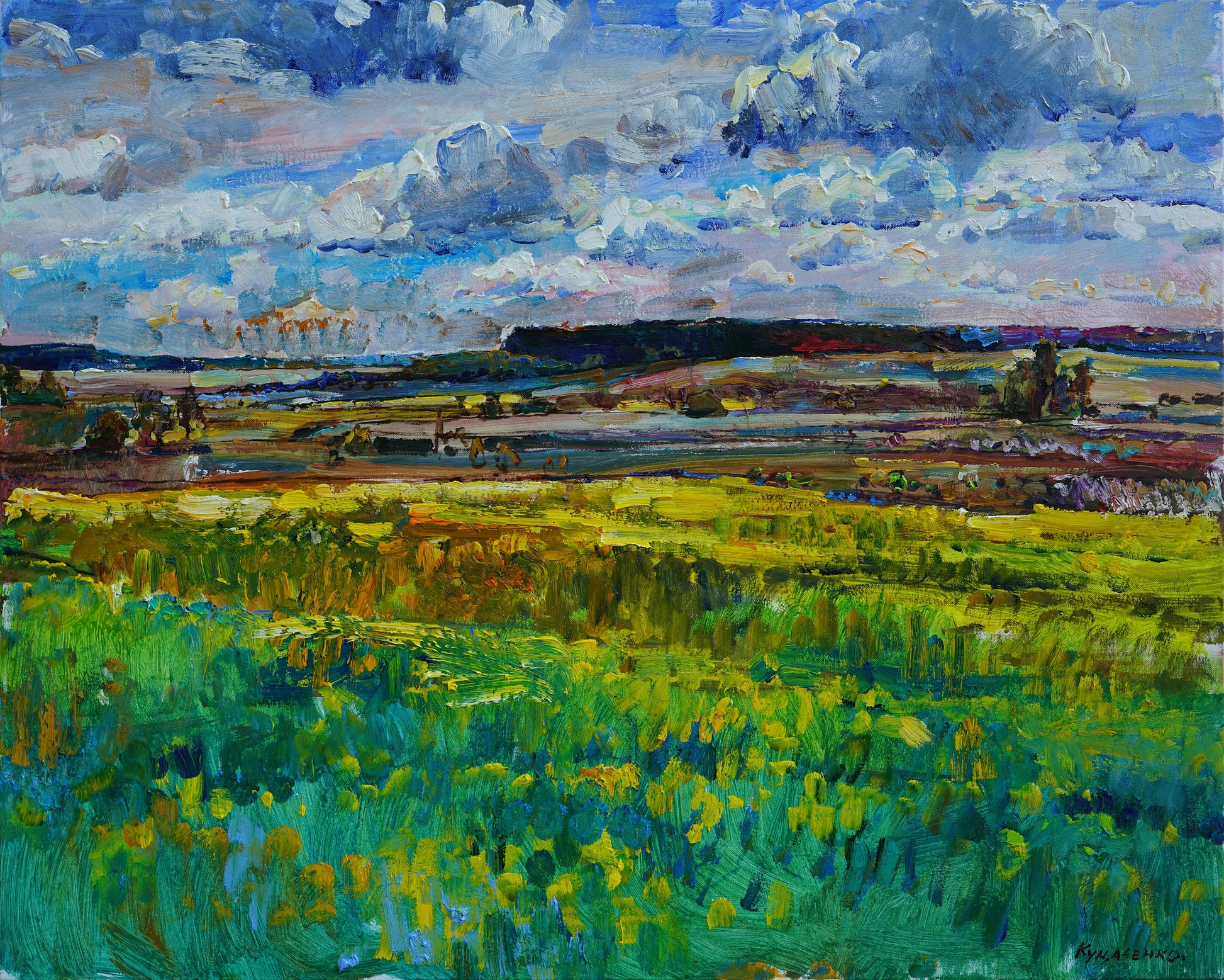 Lush Meadow Landscape